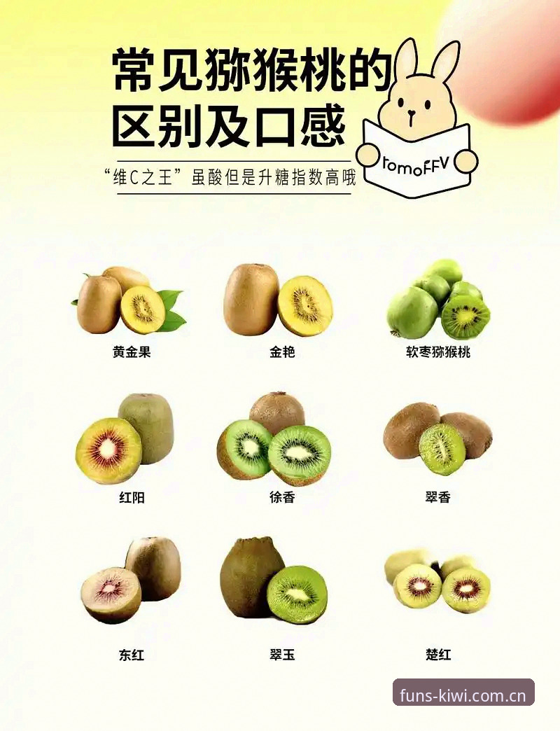 奇异果娱乐官方认证怎么样 奇异果体育与普通娱乐平台全面对比:官方认证真的更靠谱吗?