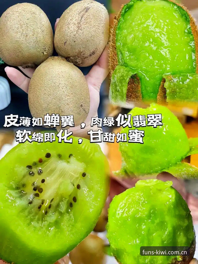 奇异果娱乐最新网址 奇异果体育实用指南:从下载到注册的完整操作技巧