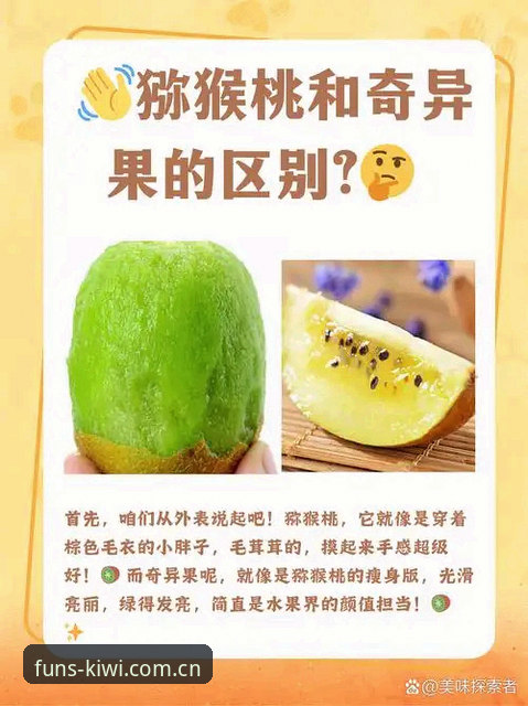 奇异果娱乐版本最新版 奇异果娱乐版本最新版深度评测:老用户亲测体验与实用分享